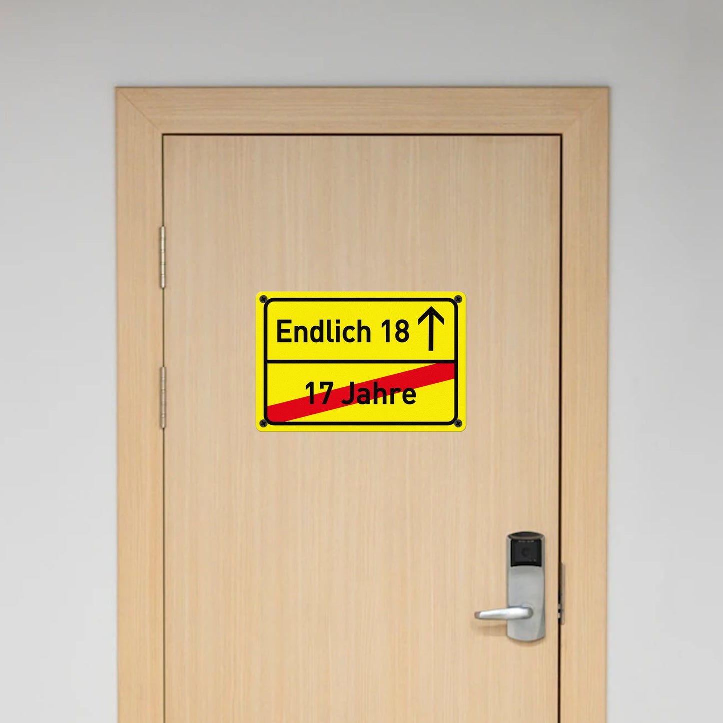 Endlich 18 Geburtstag 30 x 20 cm Kunststoff Schild