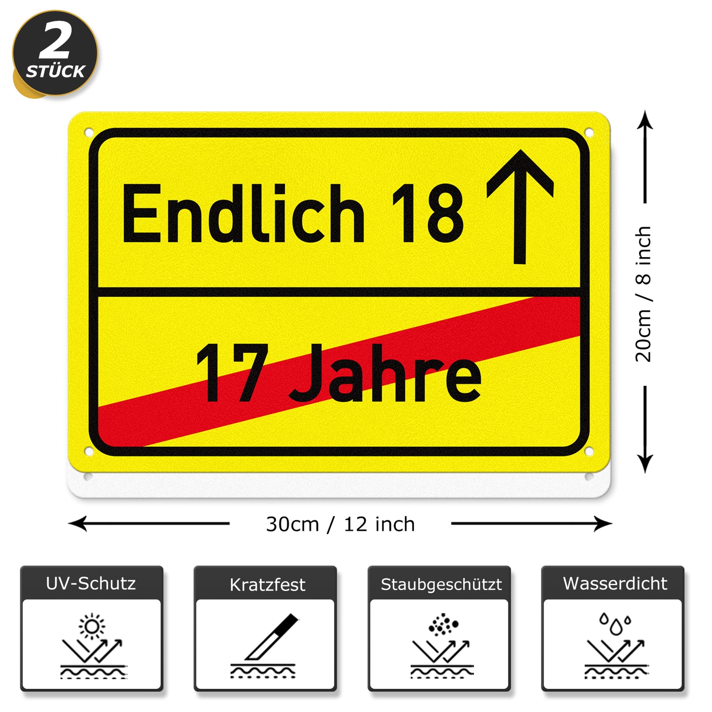 Endlich 18 Geburtstag 30 x 20 cm Kunststoff Schild