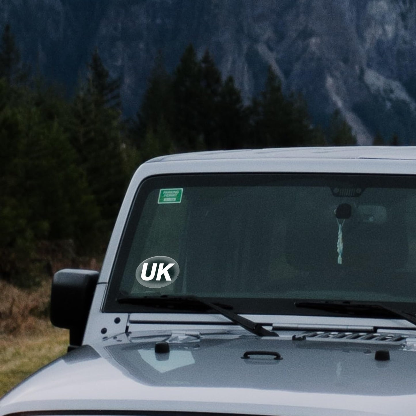 YIKIADA UK-Autoaufkleber, Vinyl, selbstklebend, oval, wasserdicht, Fensteraufkleber, abnehmbar, gewölbte Schilder für Europa, Autos, Lieferwagen, LKWs, 5 Stück