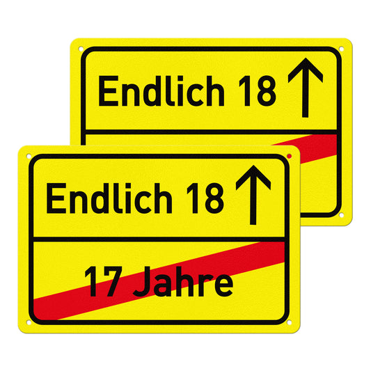 Endlich 18 Geburtstag 30 x 20 cm Kunststoff Schild