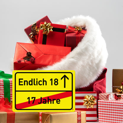 Endlich 18 Geburtstag 30 x 20 cm Kunststoff Schild